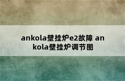 ankola壁挂炉e2故障 ankola壁挂炉调节图